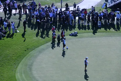 DSC_0743 (Large).JPG